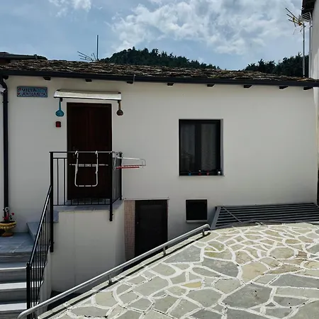 Antoaneta Apartment *