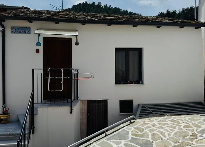 Antoaneta Apartament *